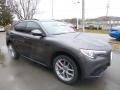 2018 Stromboli Gray Metallic Alfa Romeo Stelvio Ti AWD  photo #10