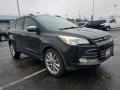 Tuxedo Black - Escape SE 1.6L EcoBoost Photo No. 1
