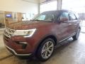 2018 Cinnamon Glaze Ford Explorer Limited 4WD  photo #4