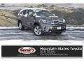 Predawn Gray Mica - Highlander Limited AWD Photo No. 1