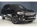 Jet Black - X5 sDrive35i Photo No. 11