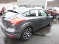 Magnetic - Focus SEL Hatch Photo No. 2
