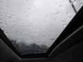 Magnetic - Focus SEL Hatch Photo No. 14