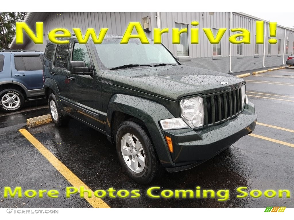 2010 Liberty Sport 4x4 - Natural Green Pearl / Dark Slate Gray photo #1