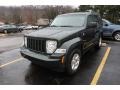 2010 Natural Green Pearl Jeep Liberty Sport 4x4  photo #3