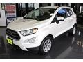 White Platinum - EcoSport SE Photo No. 3