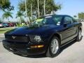 Black - Mustang V6 Deluxe Coupe Photo No. 7