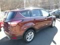 2018 Cinnamon Glaze Ford Escape SE 4WD  photo #2