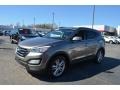 Mineral Gray - Santa Fe Sport 2.0T Photo No. 6