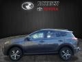 2018 Magnetic Gray Metallic Toyota RAV4 XLE  photo #3