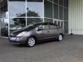 Magnetic Gray Metallic - Prius Hybrid Photo No. 3