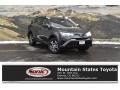 2018 Magnetic Gray Metallic Toyota RAV4 LE  photo #1