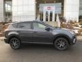 Magnetic Gray Metallic - RAV4 SE AWD Photo No. 2
