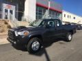 Magnetic Gray Metallic - Tacoma SR Access Cab 4x4 Photo No. 9