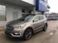 Mineral Gray - Santa Fe Sport 2.0T Ultimate AWD Photo No. 8