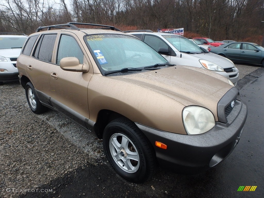 2004 Santa Fe GLS 4WD - Sandstone / Beige photo #5