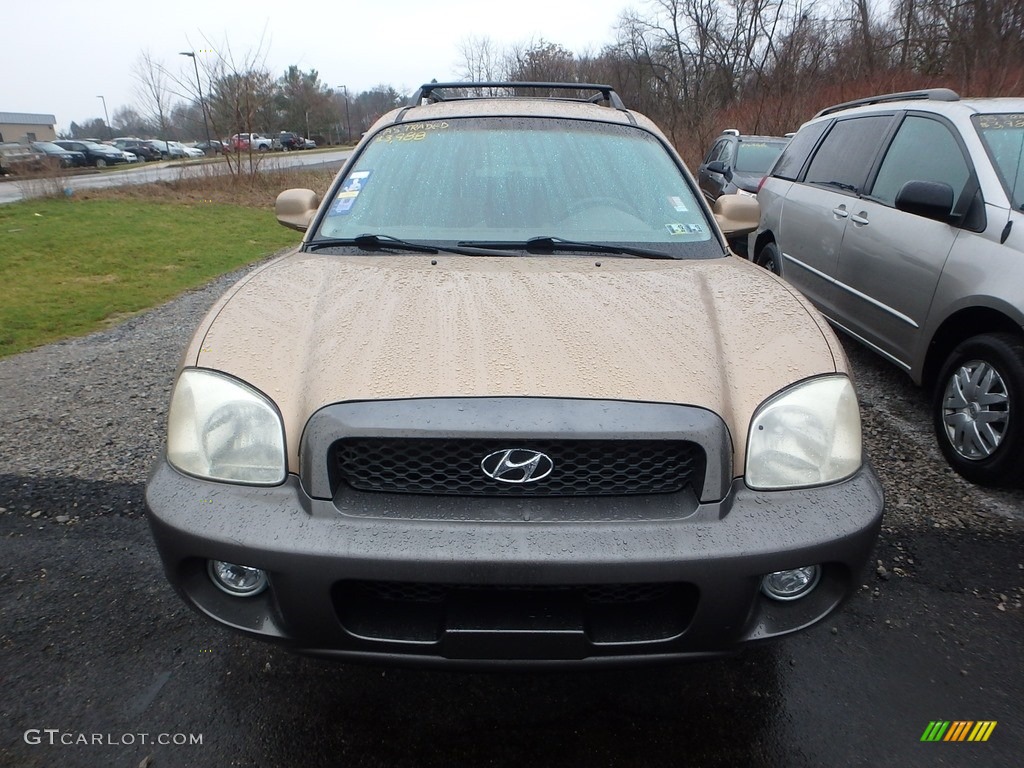 2004 Santa Fe GLS 4WD - Sandstone / Beige photo #6