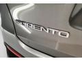 2017 Titanium Silver Kia Sorento LX V6  photo #7