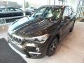 Dark Olive Metallic - X1 xDrive28i Photo No. 3
