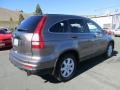 2011 Polished Metal Metallic Honda CR-V SE  photo #6