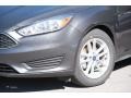 Magnetic - Focus SE Sedan Photo No. 2