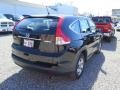 Crystal Black Pearl - CR-V LX AWD Photo No. 5