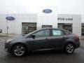 Magnetic - Focus SE Sedan Photo No. 1