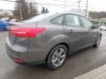 Magnetic - Focus SE Sedan Photo No. 5