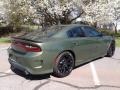 F8 Green - Charger R/T Scat Pack Photo No. 6