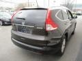 2014 Kona Coffee Metallic Honda CR-V EX-L AWD  photo #5