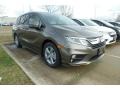 Pacific Pewter Metallic - Odyssey EX-L Photo No. 2