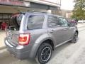 2012 Sterling Gray Metallic Ford Escape XLT 4WD  photo #2