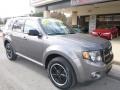 2012 Sterling Gray Metallic Ford Escape XLT 4WD  photo #3