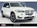 Alpine White - X5 sDrive35i Photo No. 1
