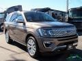 Stone Gray - Expedition Platinum 4x4 Photo No. 7