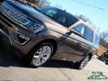 Stone Gray - Expedition Platinum 4x4 Photo No. 36