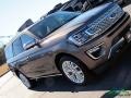 Stone Gray - Expedition Platinum 4x4 Photo No. 37