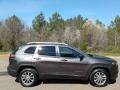 2019 Granite Crystal Metallic Jeep Cherokee Latitude Plus  photo #5