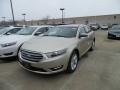 White Gold 2018 Ford Taurus SEL