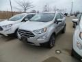 Moondust Silver - EcoSport Titanium 4WD Photo No. 1