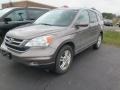 2011 Alabaster Silver Metallic Honda CR-V EX-L 4WD  photo #2