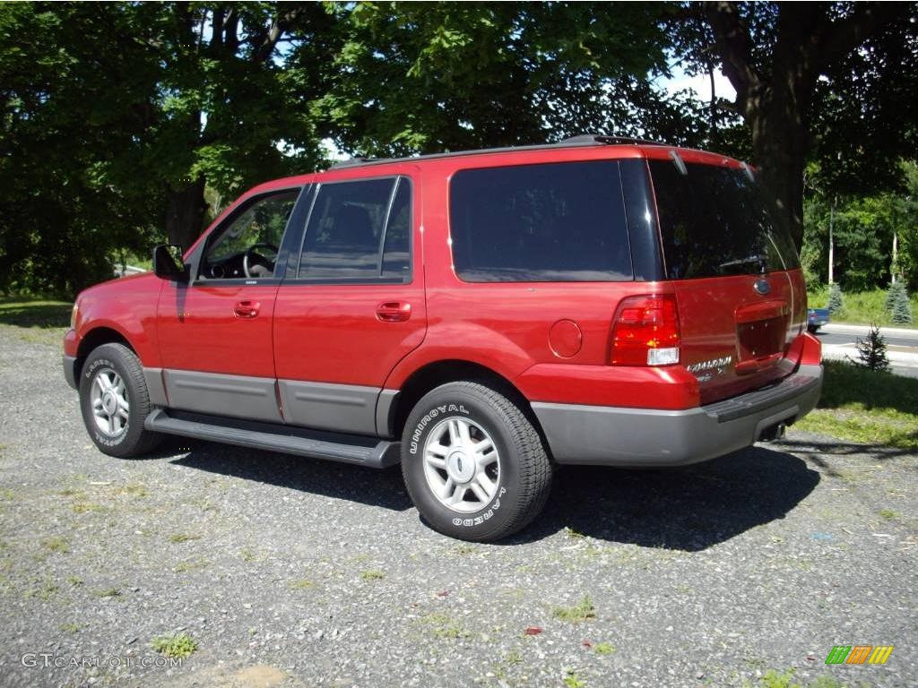 2003 Expedition XLT 4x4 - Laser Red Tinted Metallic / Flint Grey photo #3