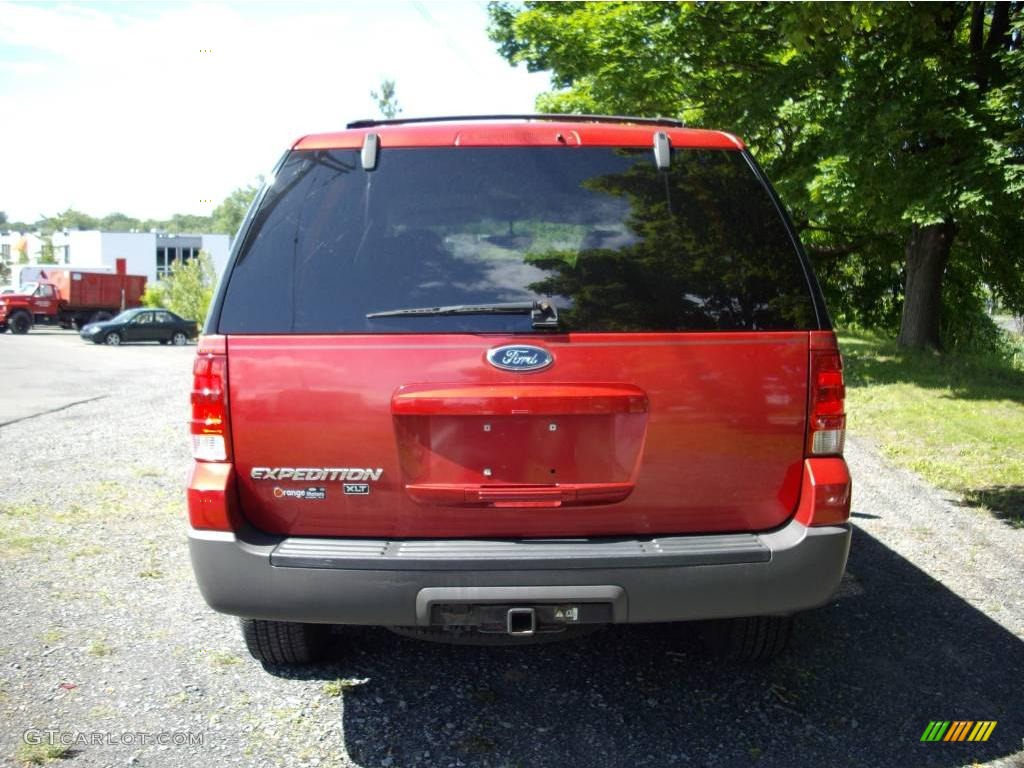 2003 Expedition XLT 4x4 - Laser Red Tinted Metallic / Flint Grey photo #4