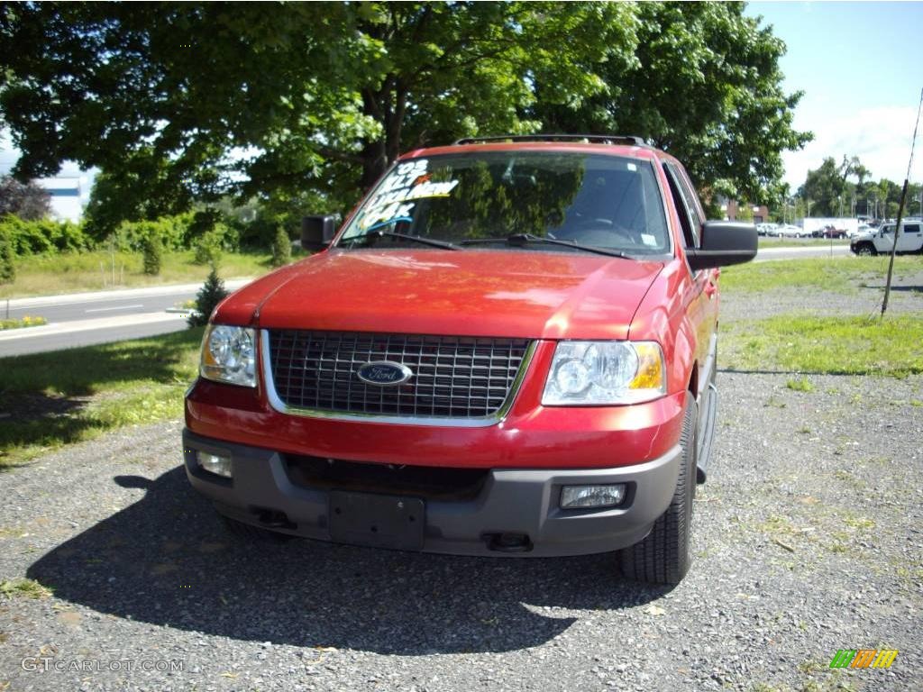 2003 Expedition XLT 4x4 - Laser Red Tinted Metallic / Flint Grey photo #5