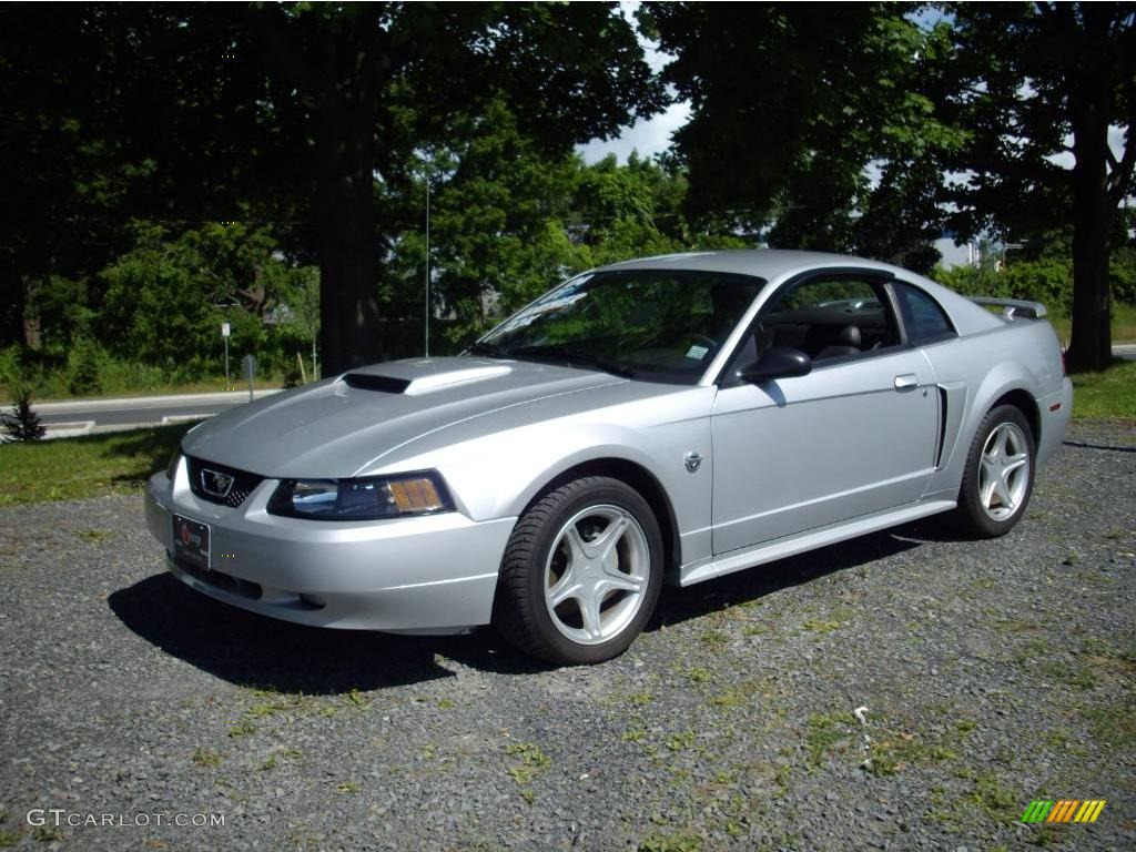 Silver Metallic Ford Mustang