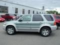 2005 Titanium Green Metallic Ford Escape Hybrid 4WD  photo #2