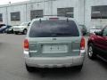 2005 Titanium Green Metallic Ford Escape Hybrid 4WD  photo #4