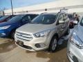 White Gold - Escape SE 4WD Photo No. 1