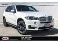 Alpine White - X5 sDrive35i Photo No. 1