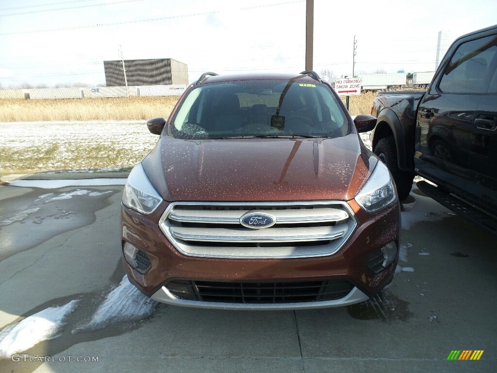 2018 Escape SE - Cinnamon Glaze / Charcoal Black photo #2